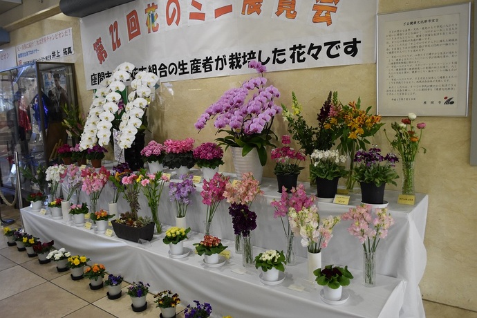 写真：花のミニ展覧会