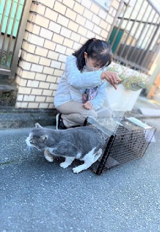 写真：NPO法人ざま野良猫を増やさない会の活動の様子