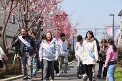 写真：相模が丘仲よし小道2