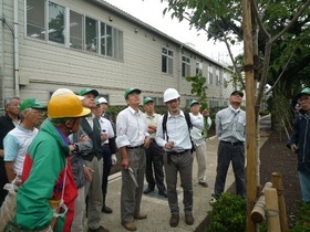 写真：剪定実地講習