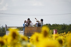 写真：展望台の様子