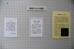 写真：展示の様子1