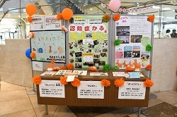写真:展示の様子
