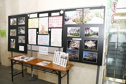 写真:パネル展の様子1