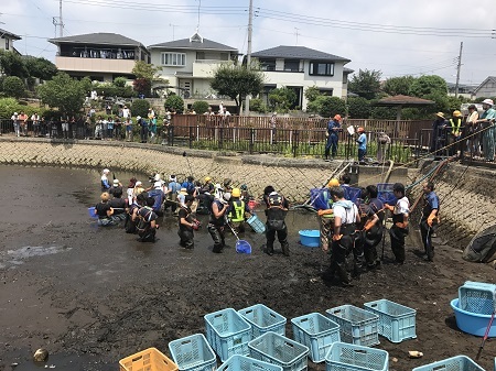 写真：かいぼりの様子