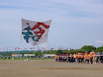 写真：大凧祭り5