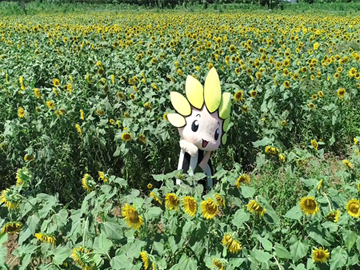 写真：ジャンプするざまりん