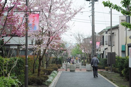 写真：仲よし小道