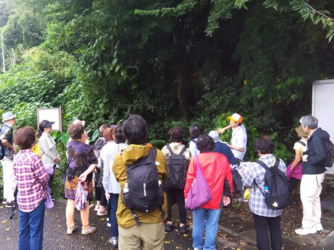 写真：神井戸湧水の見学の様子