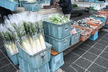 写真：販売物1