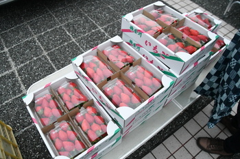 写真：販売物3