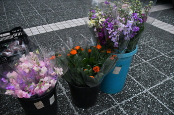 写真：販売物4
