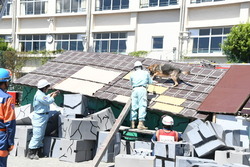 写真：捜索する救助犬