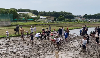 令和5年度田植え写真