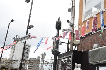 写真：相武台駅前周辺に掲揚されたこいのぼり2