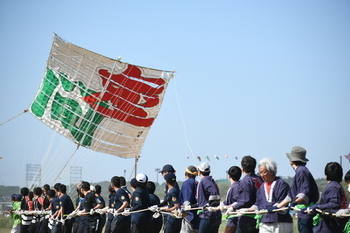 写真：「座間」と書かれた4間凧