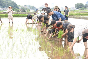 写真：手植えによる田植えを体験する参加者2