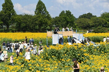 写真：展望台の様子