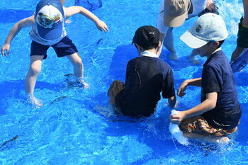 写真：アユのつかみ取りの様子