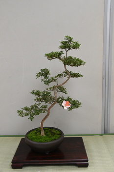 写真：展示作品12