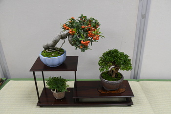 写真：展示作品2