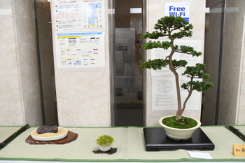 写真：展示作品5
