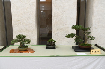 写真：展示作品6