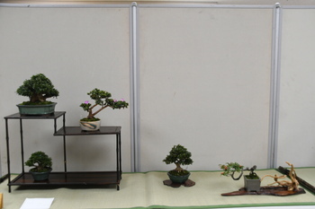 写真：展示作品7