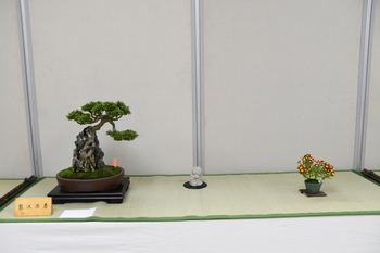 写真：展示作品8