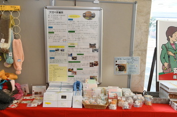 写真：展示・販売会の様子2