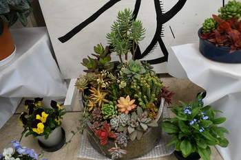 写真：花の展示の様子4