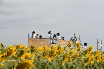 写真：展望台の様子
