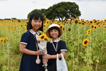 写真：ひまわりまつり（四ツ谷会場）の様子4