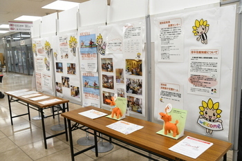 写真：市役所1階市民サロンでの展示4