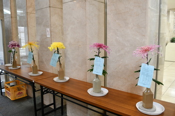 写真：菊花展6