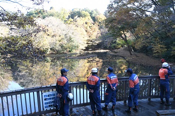 写真：池の水（水鳥の池）