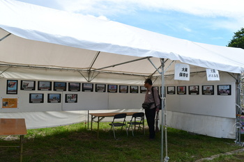 大凧の歴史に関する写真が展示されたテント