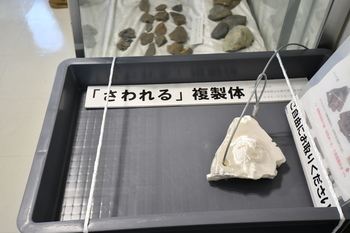 写真：「さわれる」複製体と書かれたケースの中に、表裏型顔面把手（ザマロン）の白色のレプリカが置かれています。